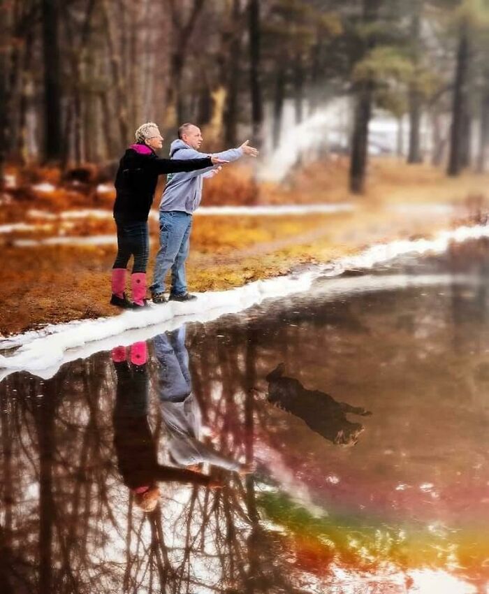 Los propietarios pidieron que se superpusiera la imagen de Timber, su perro recientemente fallecido, en la foto mientras esparcían sus cenizas en un estanque. Este es el resultado