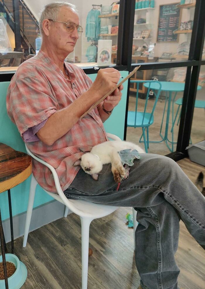Alguien en el 'Purrfect Day Cat Cafe' en Louisville, Kentucky, haciendo el papeleo para llevarse a este gatito a casa
