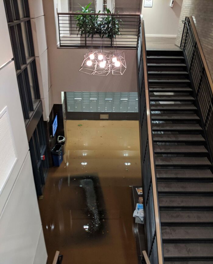 My Apartment After Hurricane Isaias (Philadelphia)