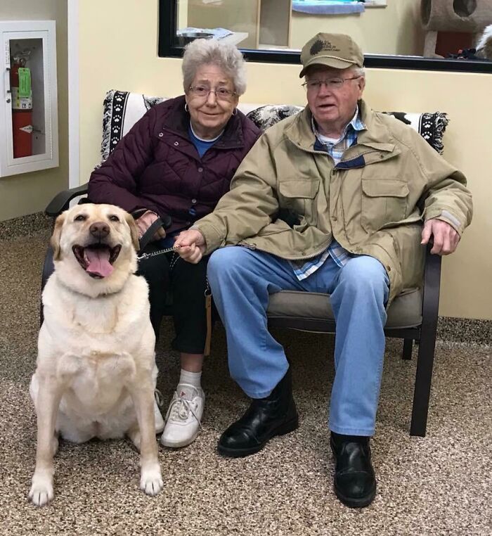 This Old Girl Was Just Adopted From A Nearby Shelter By This Older Couple