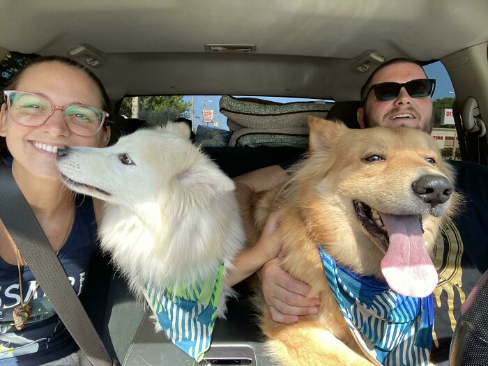 We Went To Adopt 1 Dog And Left With Both, Can’t Separate Brothers!