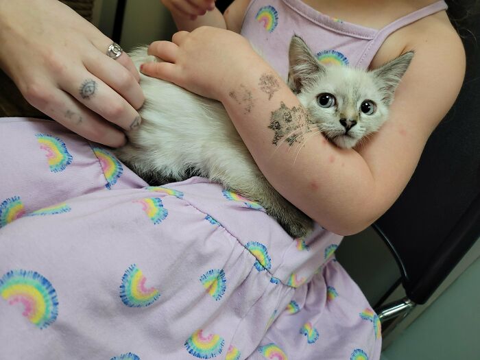 Just Adopted Her This Morning! Name Ideas?