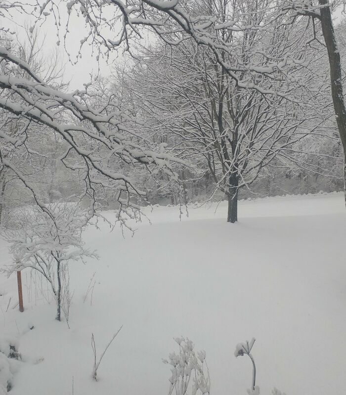  I Sure Do Love Springtime