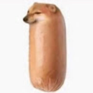 hakeemgomapas avatar