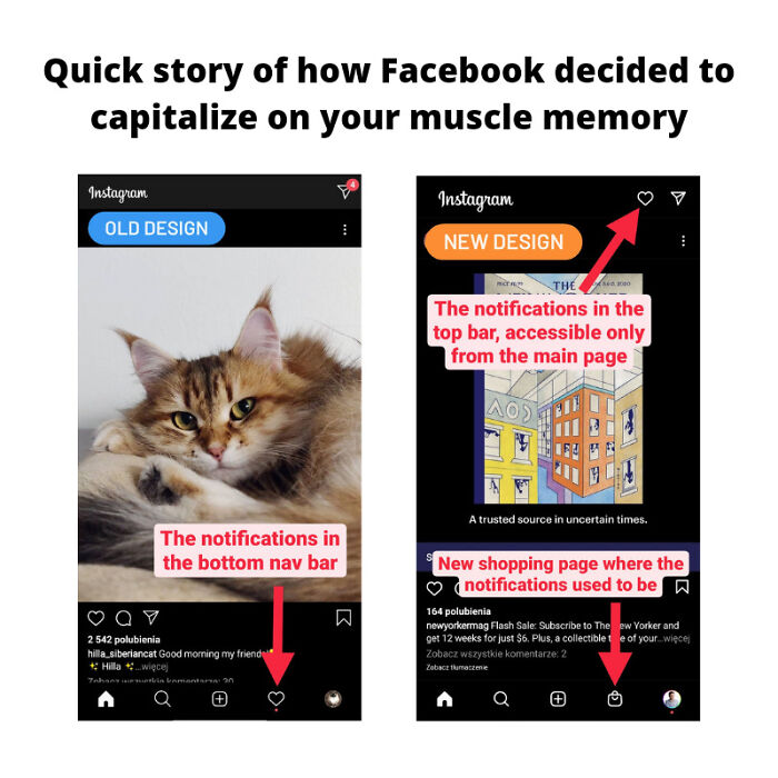 New Instagram "Feature"