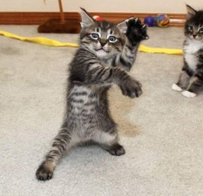 Pónganle un título a esto