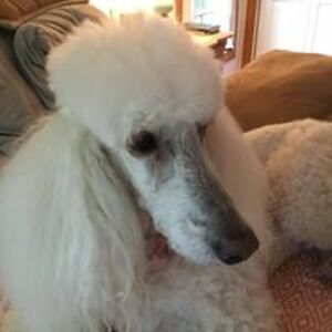 bmorningstar7 avatar