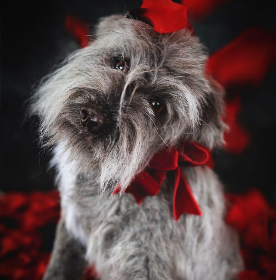 I’m Creating Pets And Animals By Hand, Only Using Needle, Thread And Faux Fur