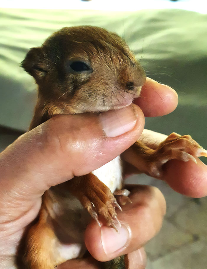 She Finally Opened Her Eyes