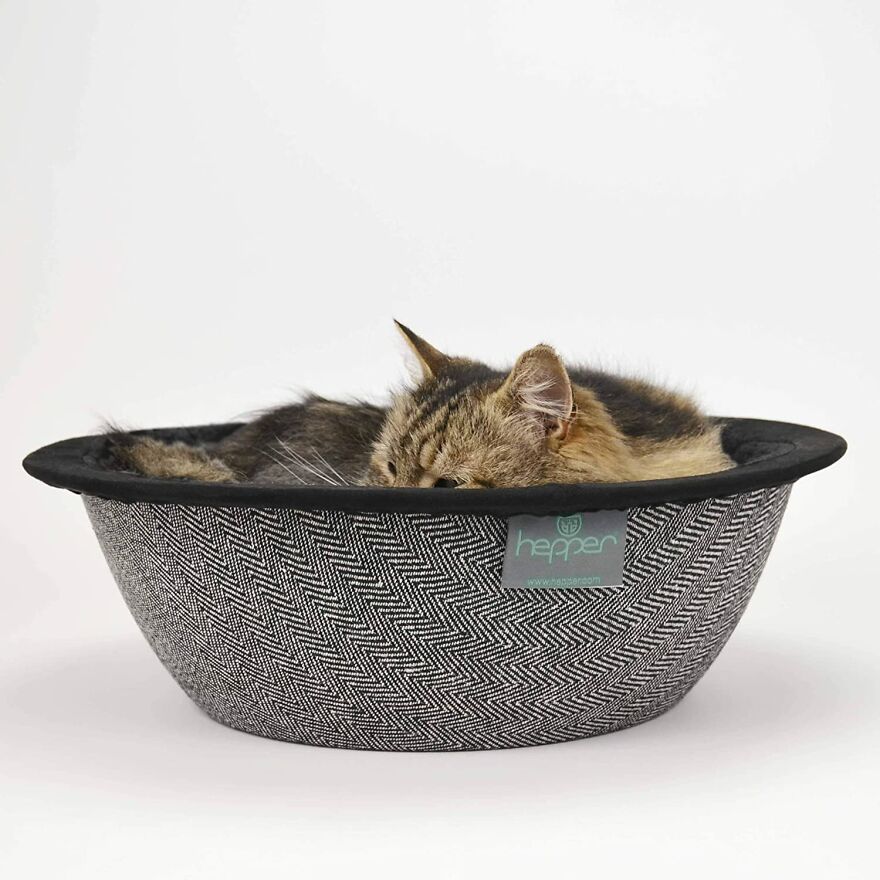 20 Unique And Amazing Products Which You Can Buy From Amazon For You Pet Cat
