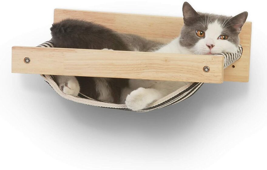 20 Unique And Amazing Products Which You Can Buy From Amazon For You Pet Cat