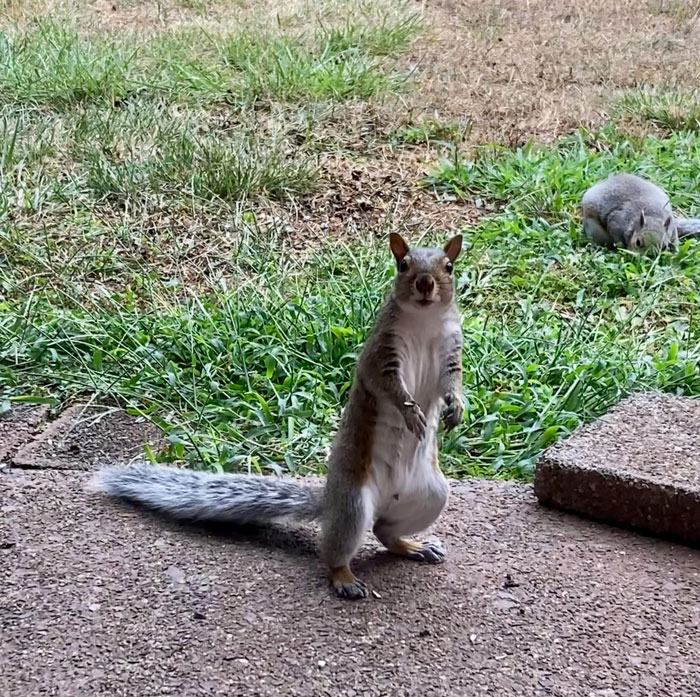 “Are You Talkin’ Ta Me?!”