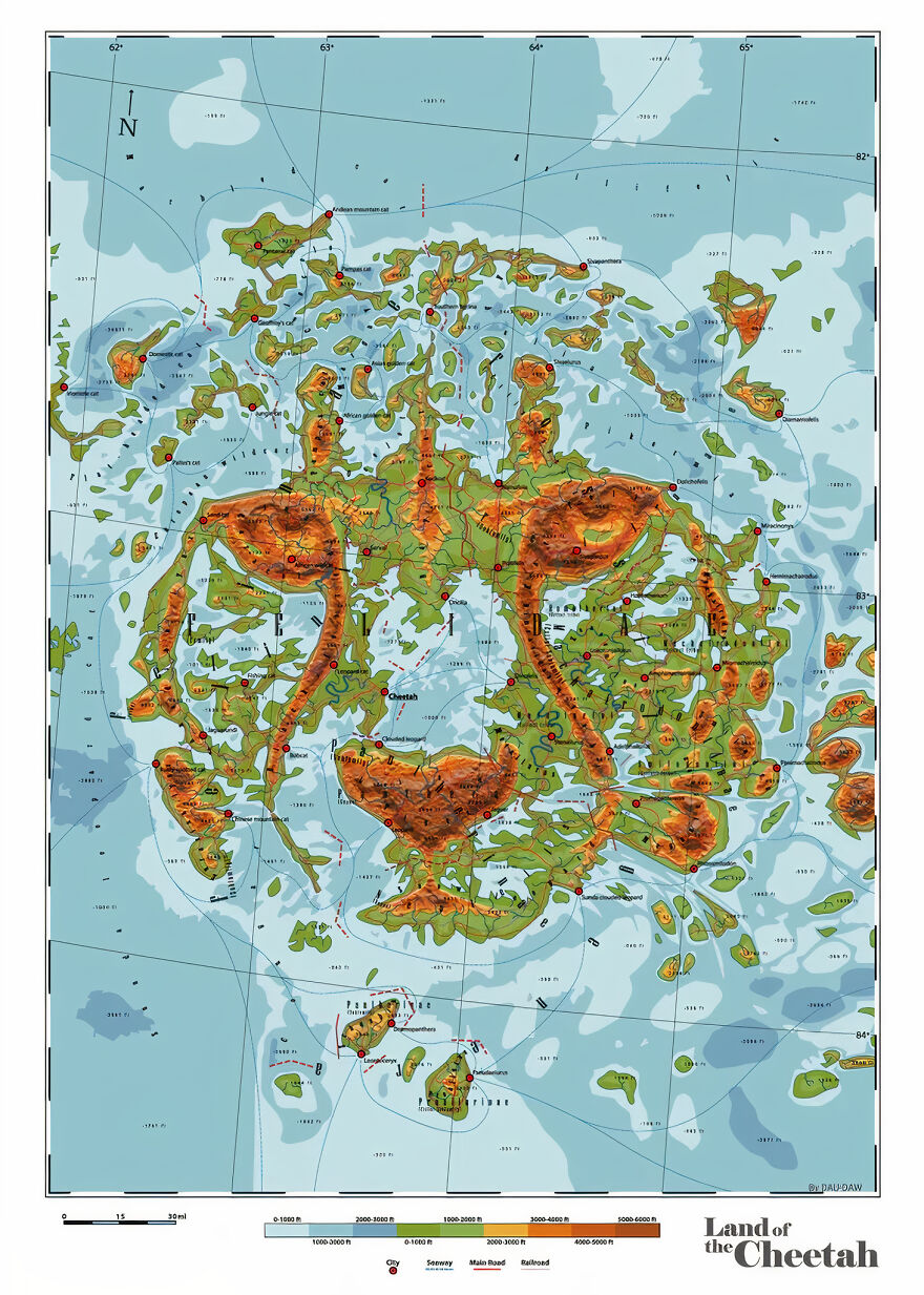 Felidae - Land Of The Cheetah