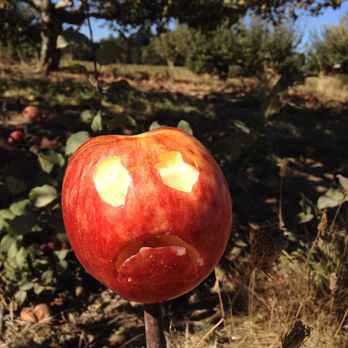 People Explain That They Or Someone They Knew Have Been Eating These 30 Foods Wrong For The Longest Time