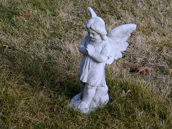 30 Names That Have Completely Lost Their Attractiveness, According To Folks In This Online Group