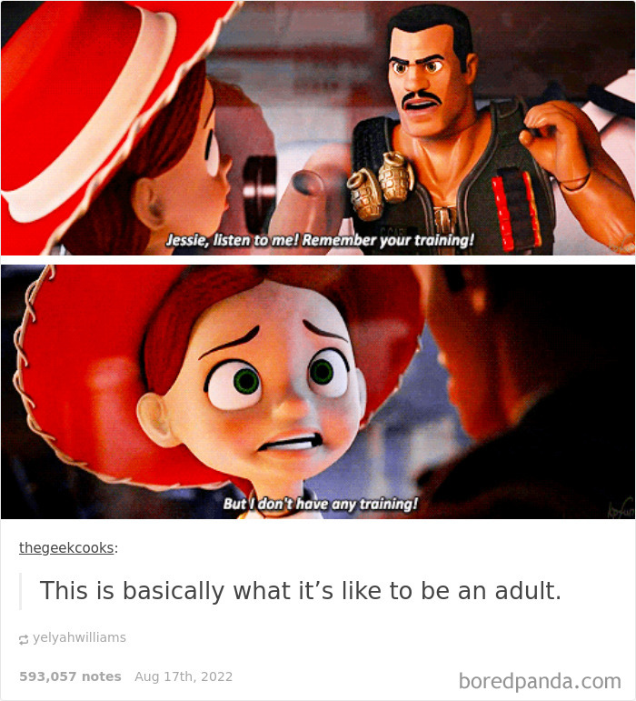 Trying-To-Be-More-Adult-Adulting