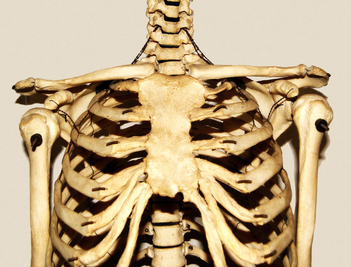 Only People With Rare Body Features Joined This Thread And Shared 35 Of Their Body Anomalies - 32