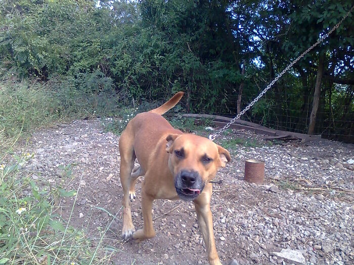 30 Behaviors That People In This Online Group Find Hard To Tolerate So They Judge Others For It