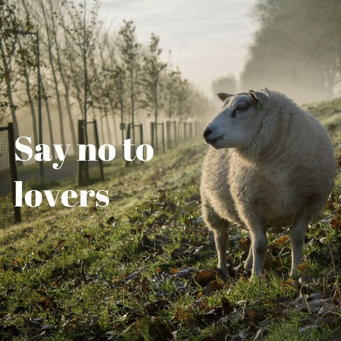 I Used An Ai To Generate Inspirational Quotes (40 Pics)