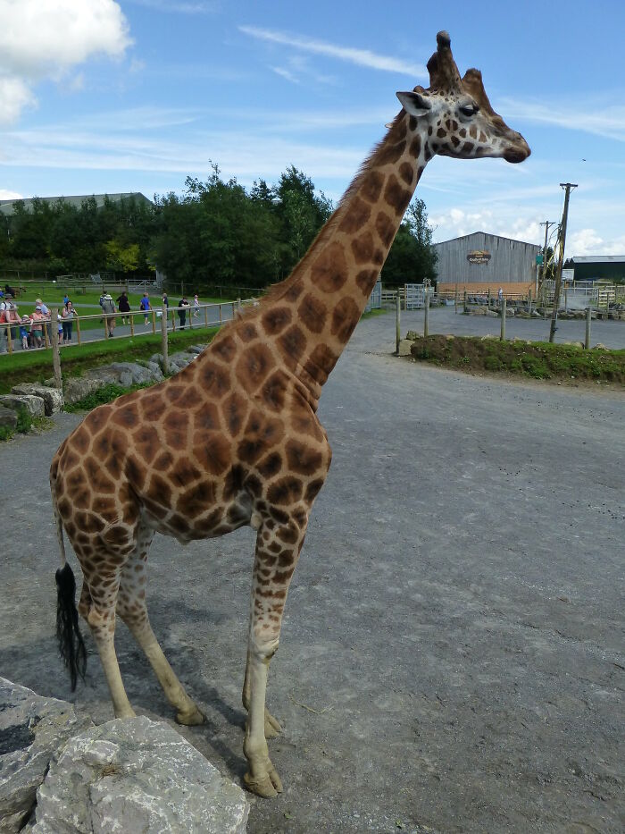 35 Random Jaw-Dropping Facts, As Shared In This Online Group