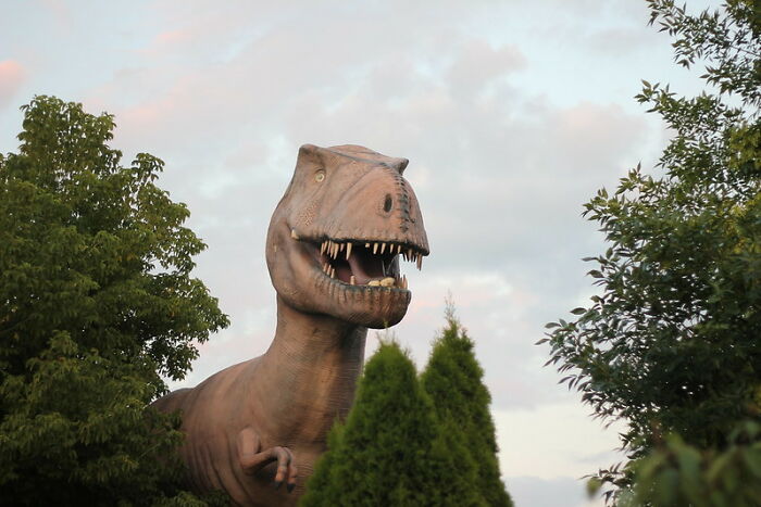 35 Random Jaw-Dropping Facts, As Shared In This Online Group