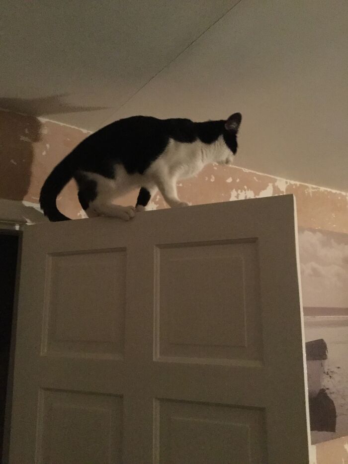 Let’s Put The Wallpaper On…