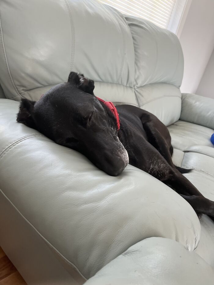 Haha Sorry, Couldn’t Pick Just One