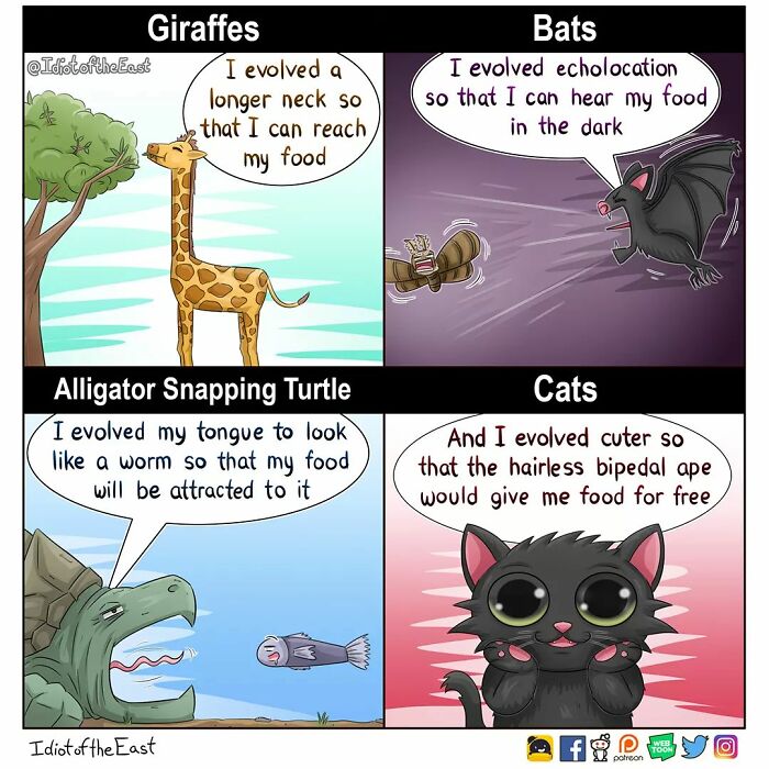 Artist Creates Fun Comics That Illustrate Familiar Life Situations (New Pics)