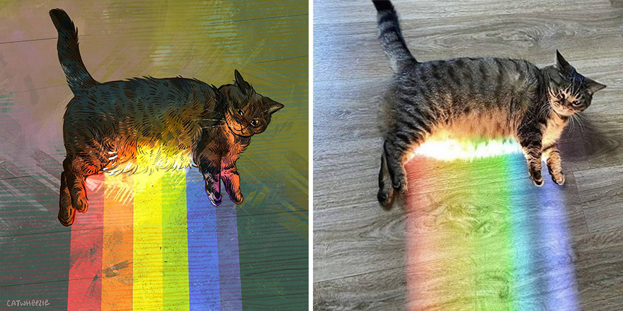 Artist Takes Cat Memes To A Whole New Level By Making Amazing Art With Them