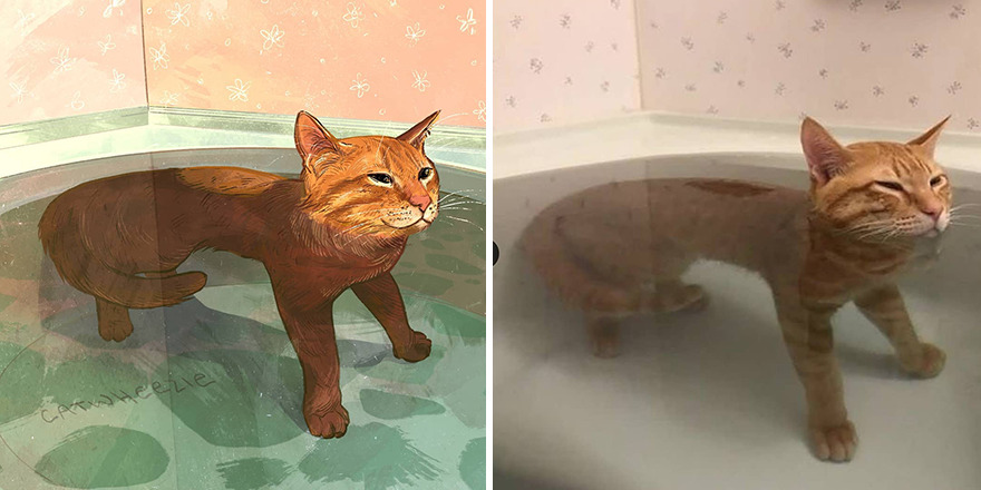 Artist Takes Cat Memes To A Whole New Level By Making Amazing Art With Them