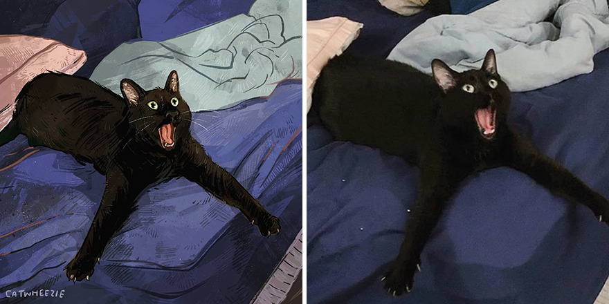 Artist Takes Cat Memes To A Whole New Level By Making Amazing Art With Them