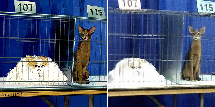 Artist Takes Cat Memes To A Whole New Level By Making Amazing Art With Them