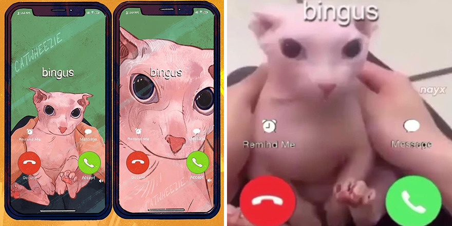 Artist Takes Cat Memes To A Whole New Level By Making Amazing Art With Them