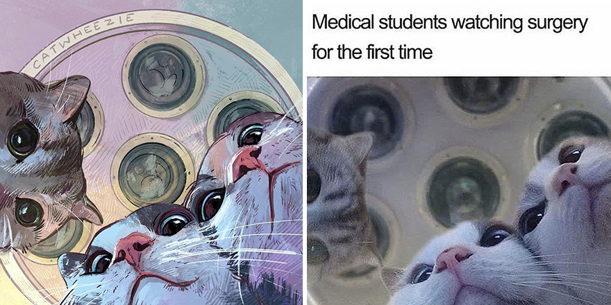 Artist Takes Cat Memes To A Whole New Level By Making Amazing Art With Them