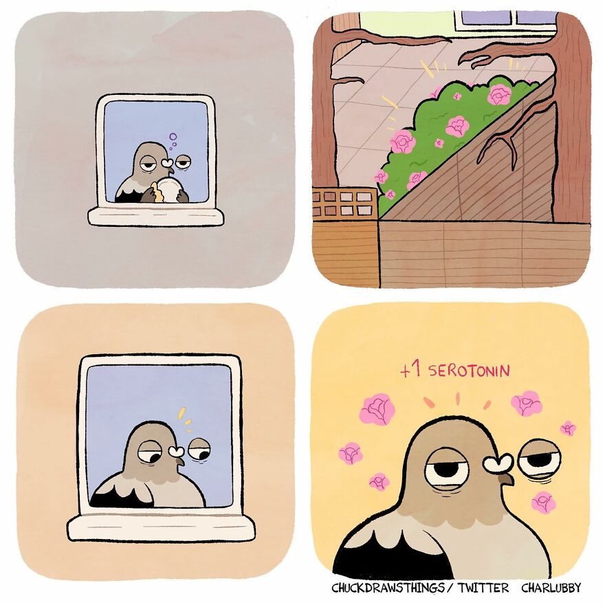 Artist Who Lives With Anxiety And Depression Creates A Pigeon As The Narrator Of His Comics That Will Bring A Smile To His Face (Interview With Artist)