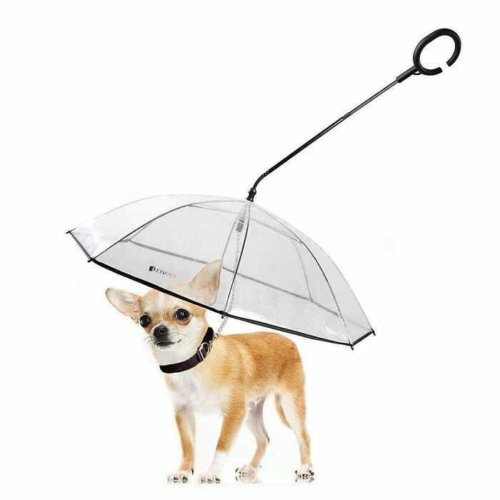 Dog Umbrella