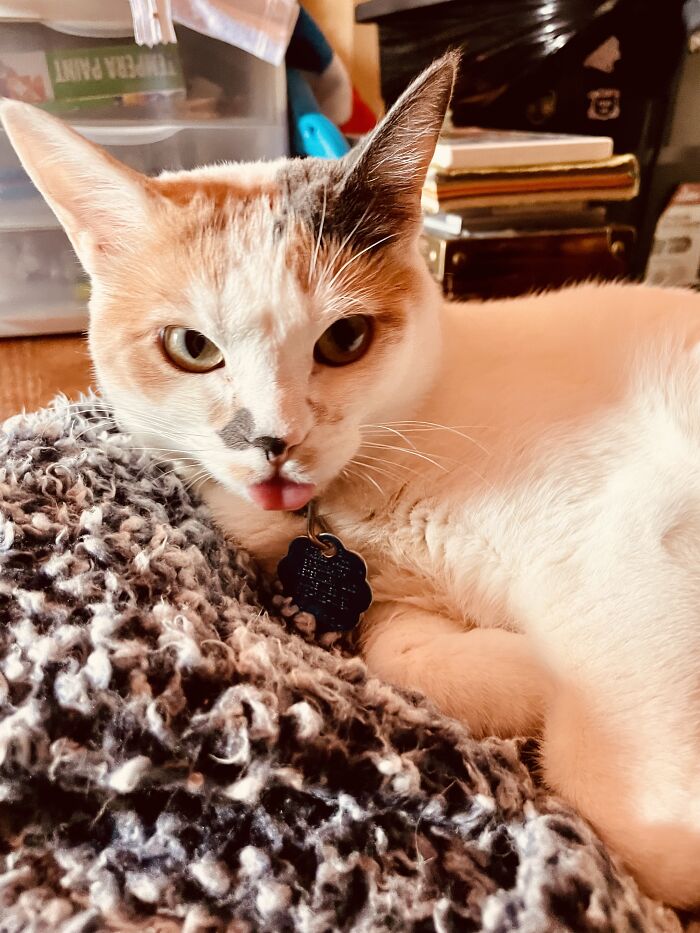 Who Disturbs My Slumber….?