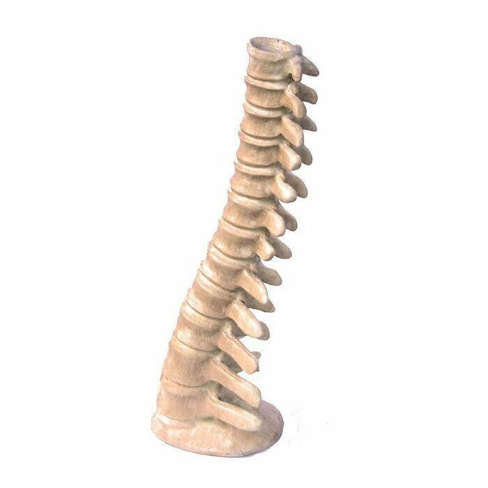 Spine Candle Holder