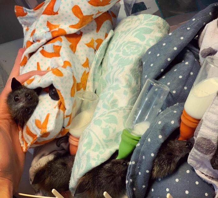 Had To Squish Them All In For A Group Photo To Show Off Their New Threads