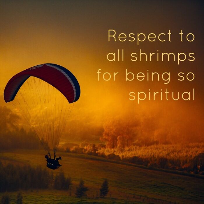 I Used An Ai To Generate Inspirational Quotes (40 Pics)