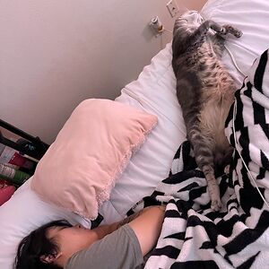 deniserodregez avatar