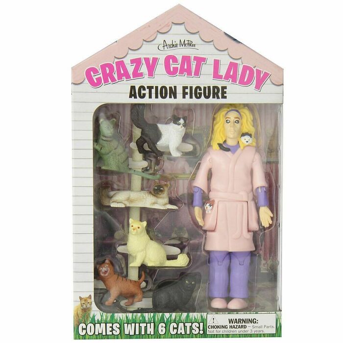 Crazy Cat Lady Action Figure - $12.71