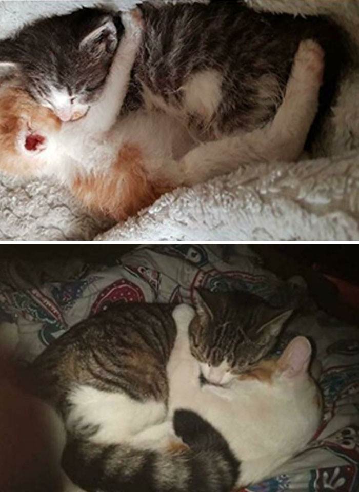 Still Best Friends, 8 Months After Adoption