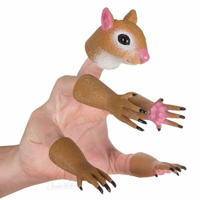 Handi Squirrel