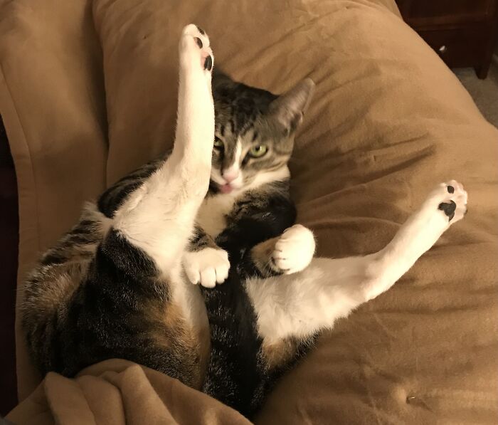 I Have So Many Like This