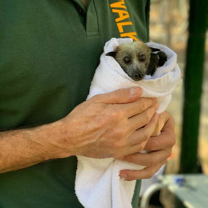 Health Check-Up Time