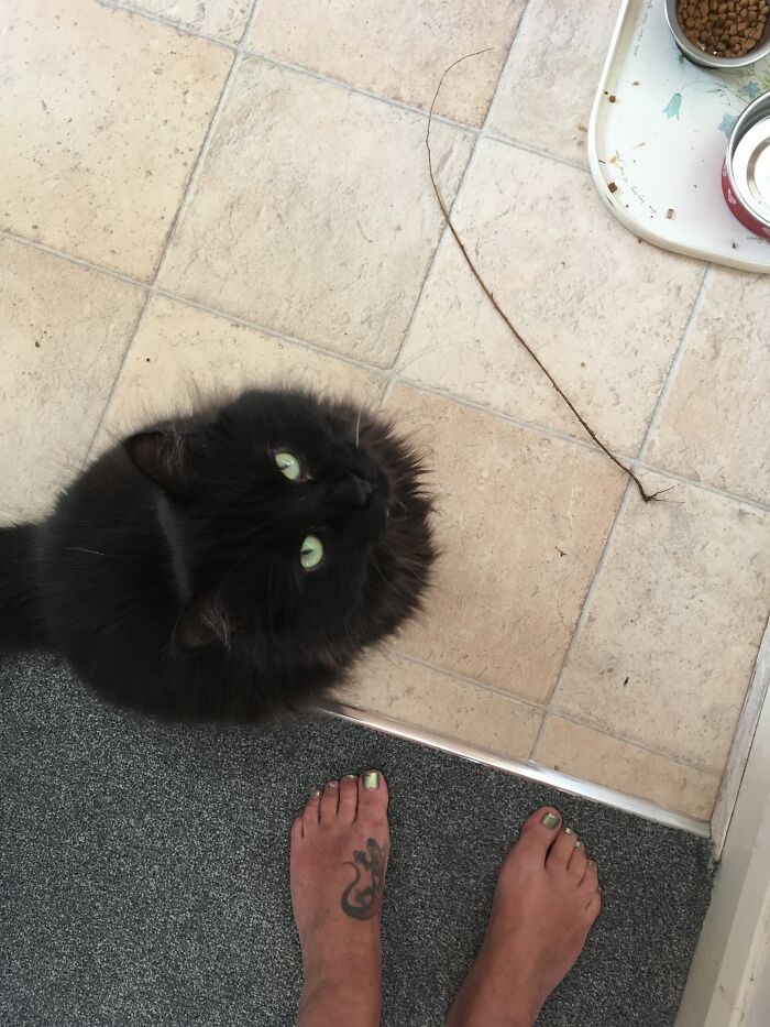 He Brought Me A Stick