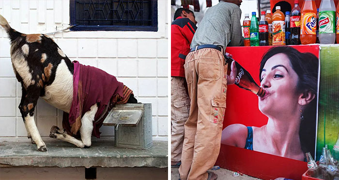 Scientist-Turned-Photographer Takes Pictures Of Ironic Everyday Moments (30 Pics)