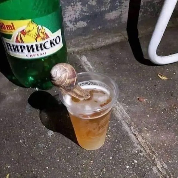 Funny-No-Context-Pics-Junkmanbaby