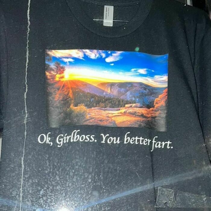 Funny-Shirts-Thegoodshirts